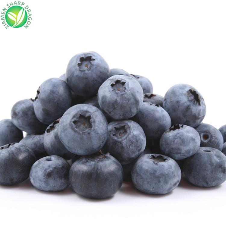 blueberry with best price