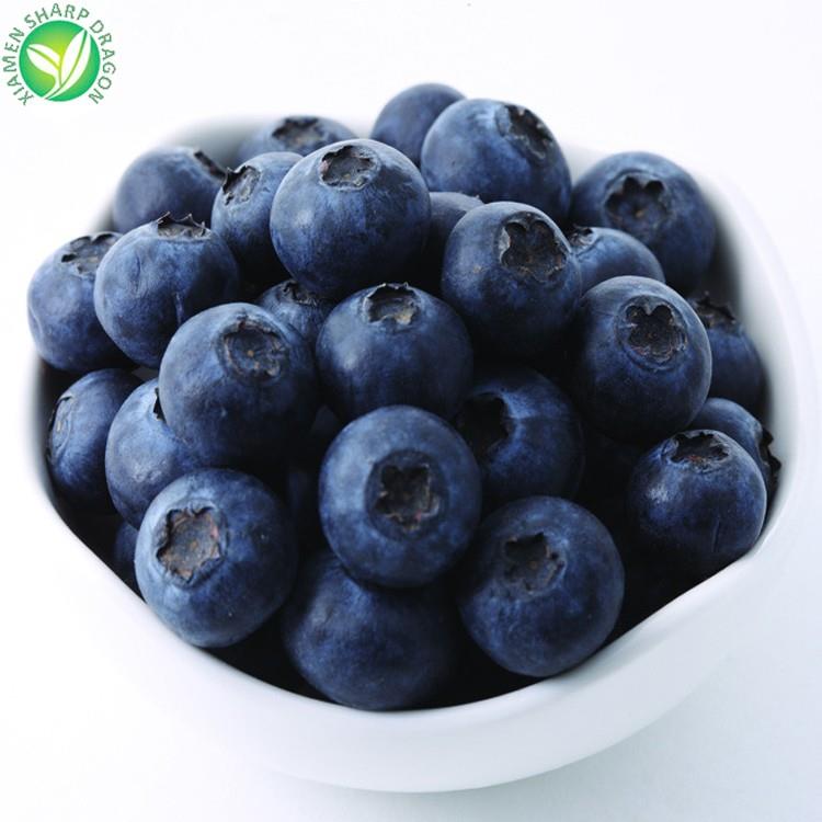 frozen  blueberry suppliers