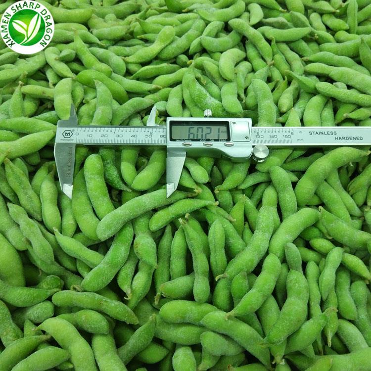 Frozen edamame pods measured with a digital caliper
