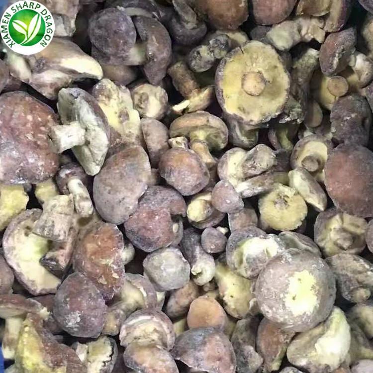 suillus granulatus export 
