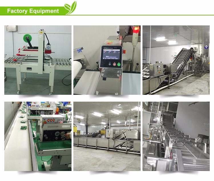 Supplier manufacturers wholesale fresh fruit pulp canned mandarin orange segments in price