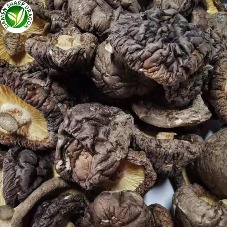 dried shiitake mushrooms in bulk 