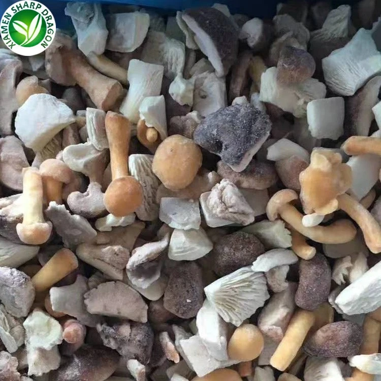 frozen mushroom mix supplier frozen mushroom mix supplier
