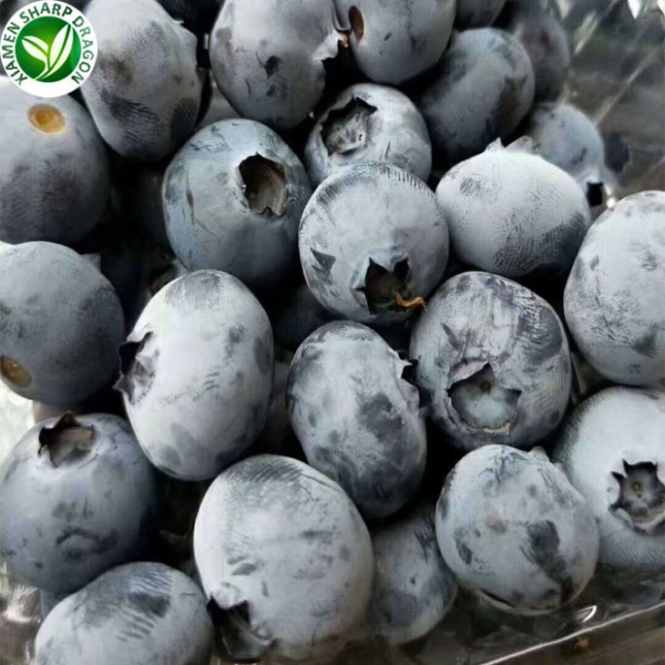 Iqf Blueberry Founisè