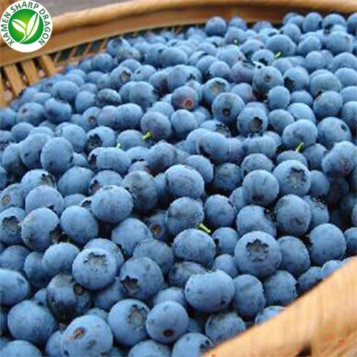 Jele blueberry dènye pri