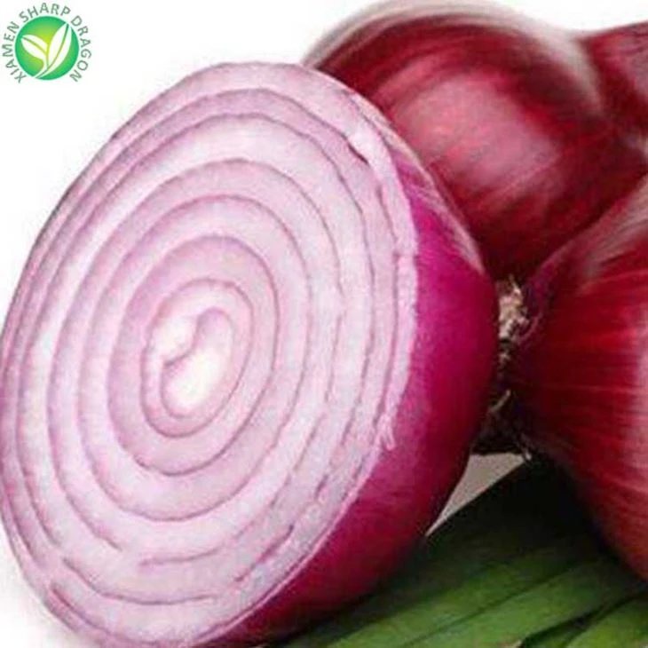 Frozen Chopped Red Onion
