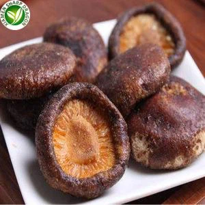 Fri djondjon an sante