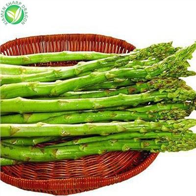 Pri Wholesale nan frizè Green Aspèj