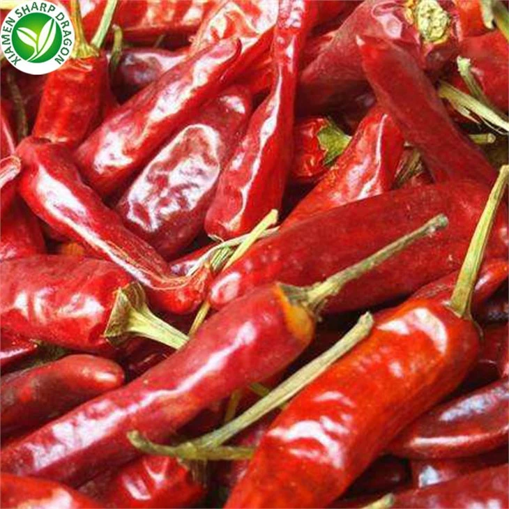 Chili Supplier