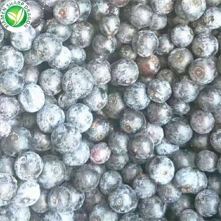 Frozen Blueberry Latest Price